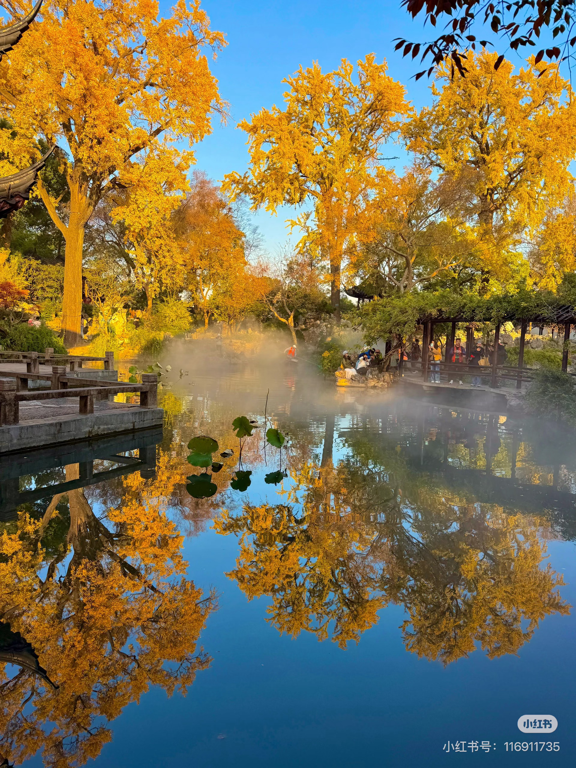 读书是见世面最快的方式我的私人宝藏书单书评 把生活那些细碎的美好，都一一捡起来“