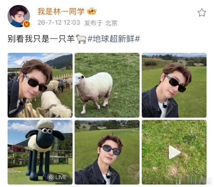 周也评论区唱别看我只是一只羊周也林一什么时候上音乐节 林一和周也的语音接歌太甜了