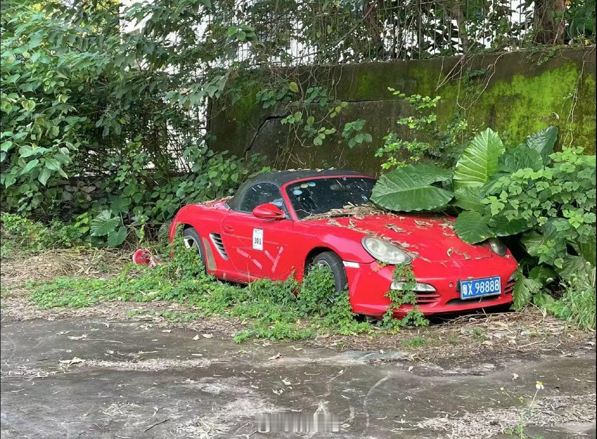 它饱受风霜，亟需被解救……[二哈]#亿点曝光计划# ​​​