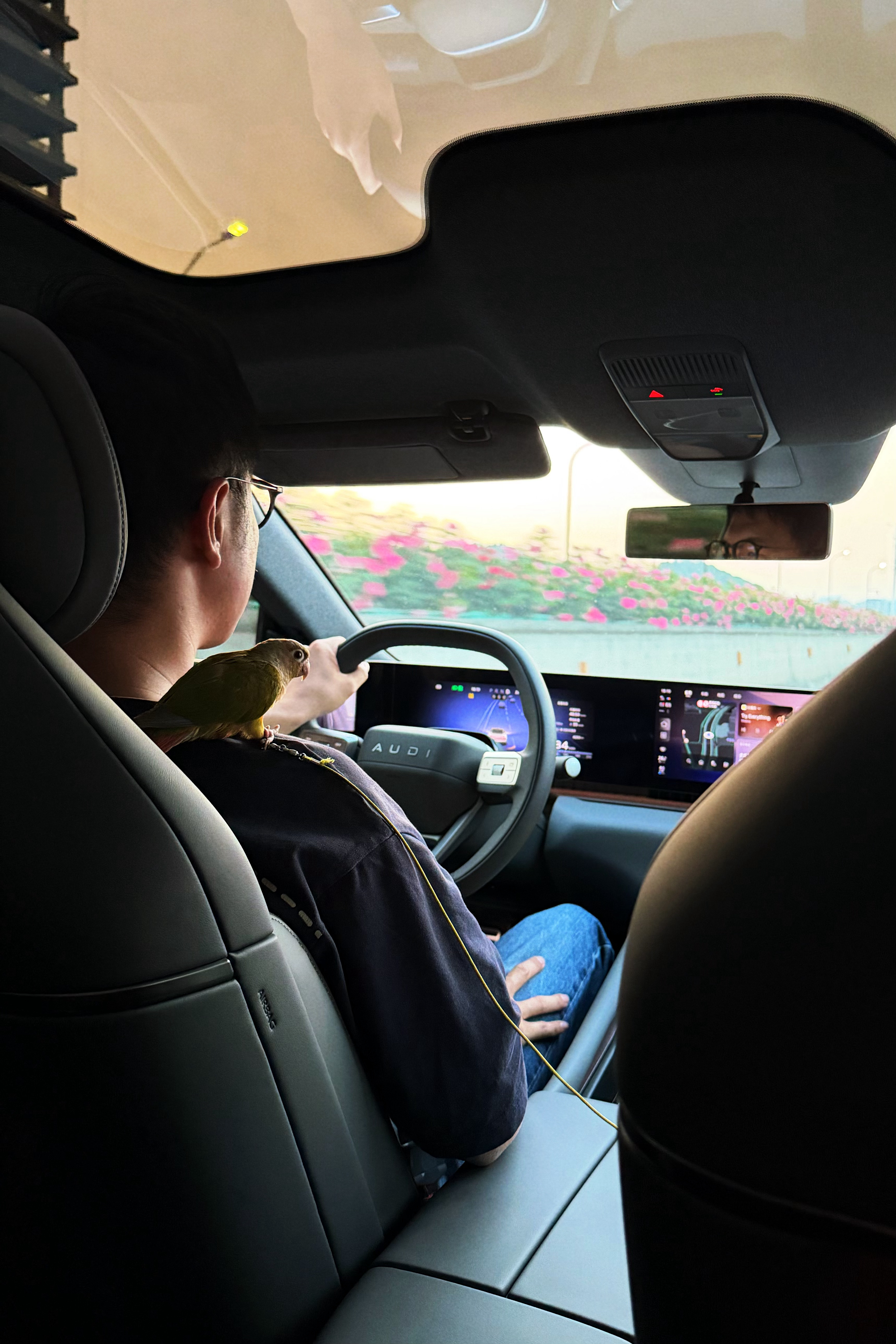 特别安稳的小乘客 