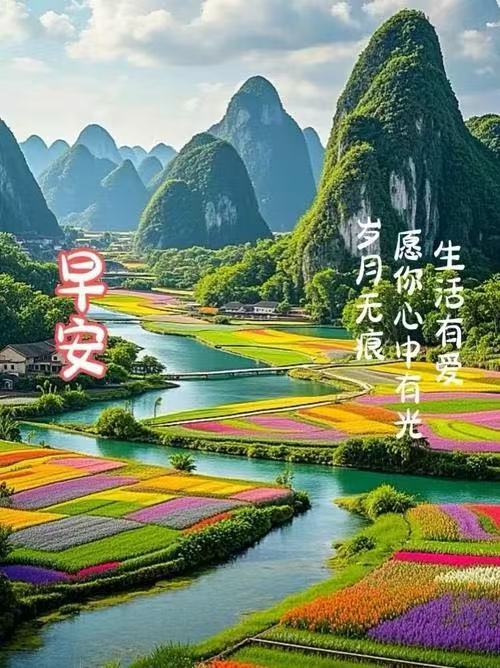 分享图片 ​​​