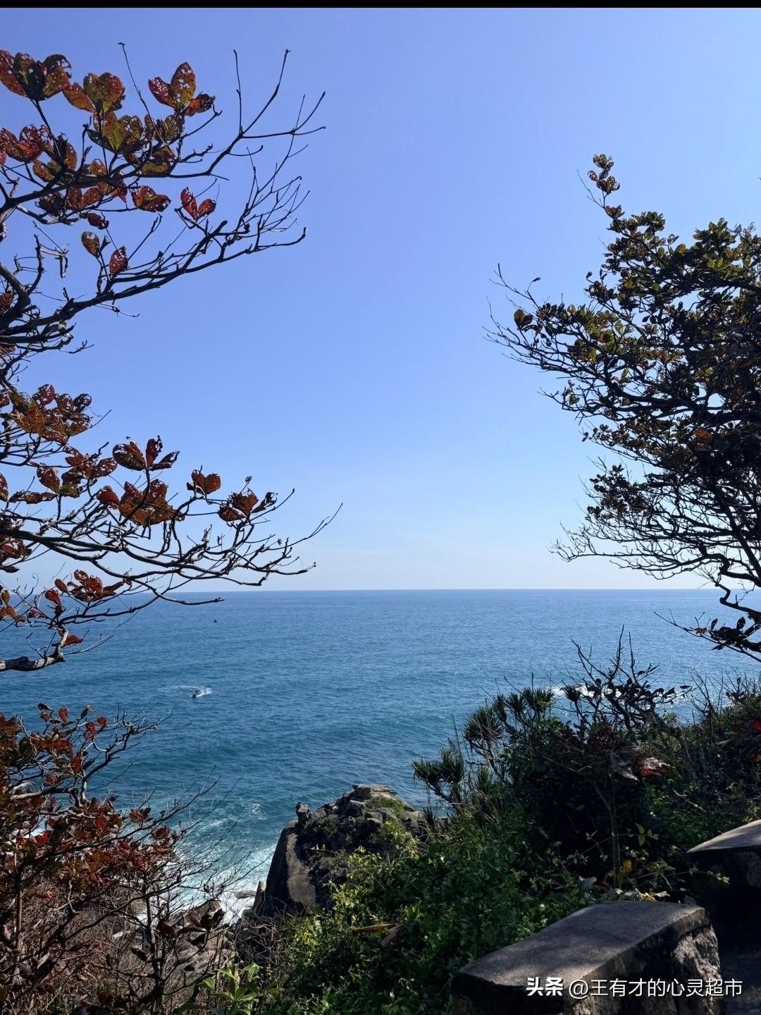 可有，可无，可去，可留，
人生本来就是一场随性的行走。
那些辗转反侧的忧愁，
不