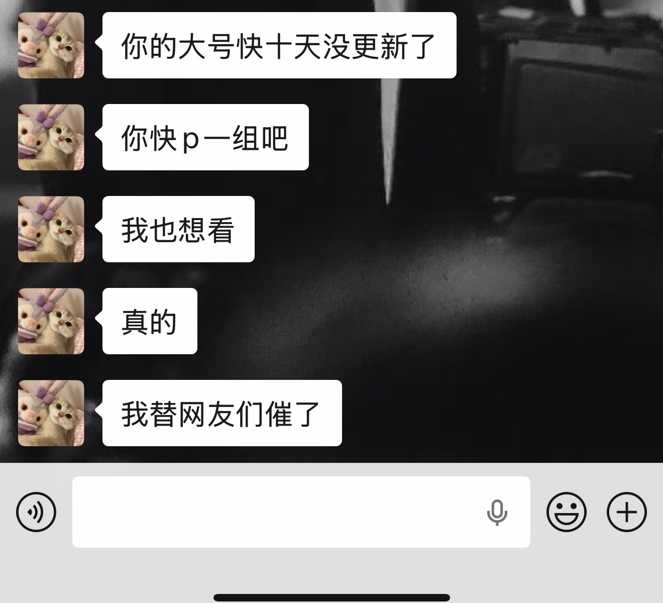 单人照和情侣照都各拍了小十组可以说，等我玩完这两天日更我最近不是去青岛玩，太冷了