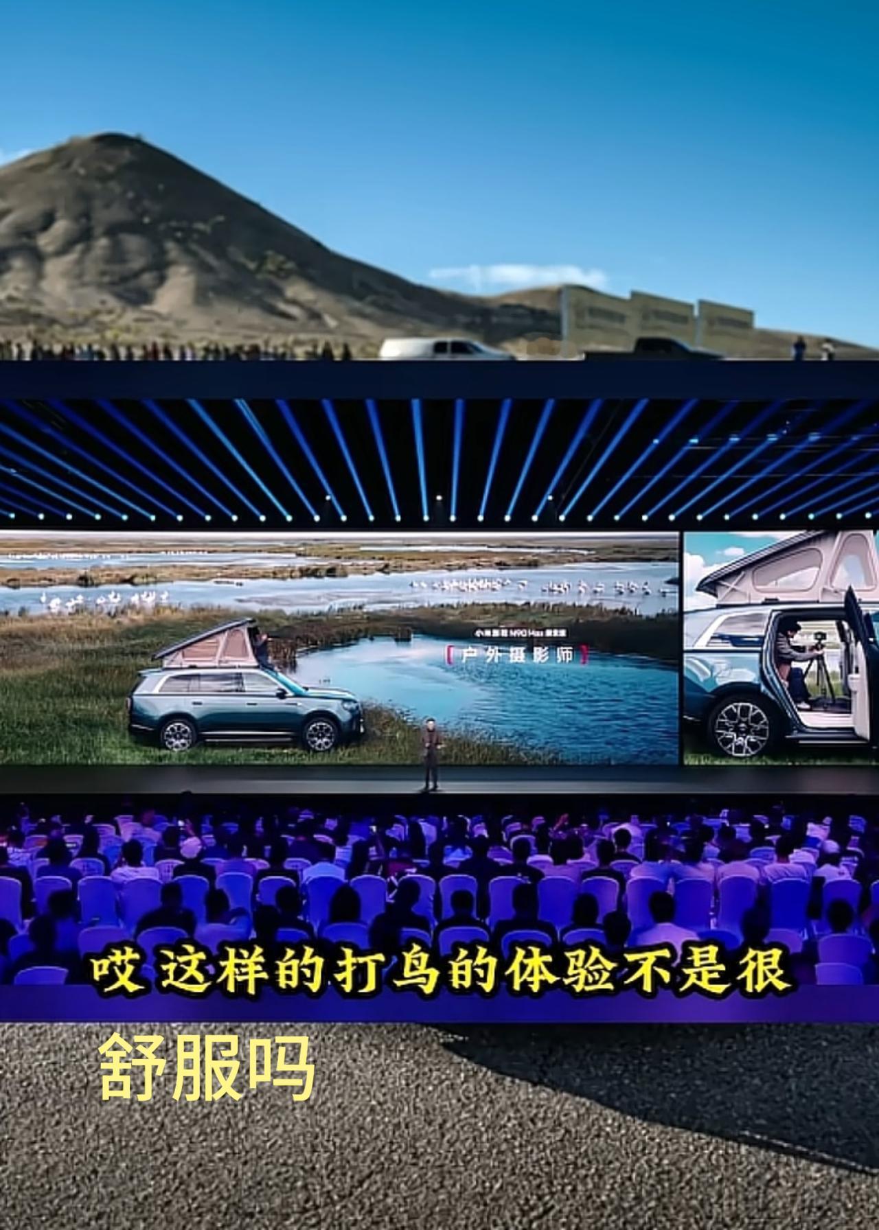 雷总，户外露营钓鱼可以，打鸟是真不行，尤其是在澎程n90的帐篷上打鸟就更不行了！