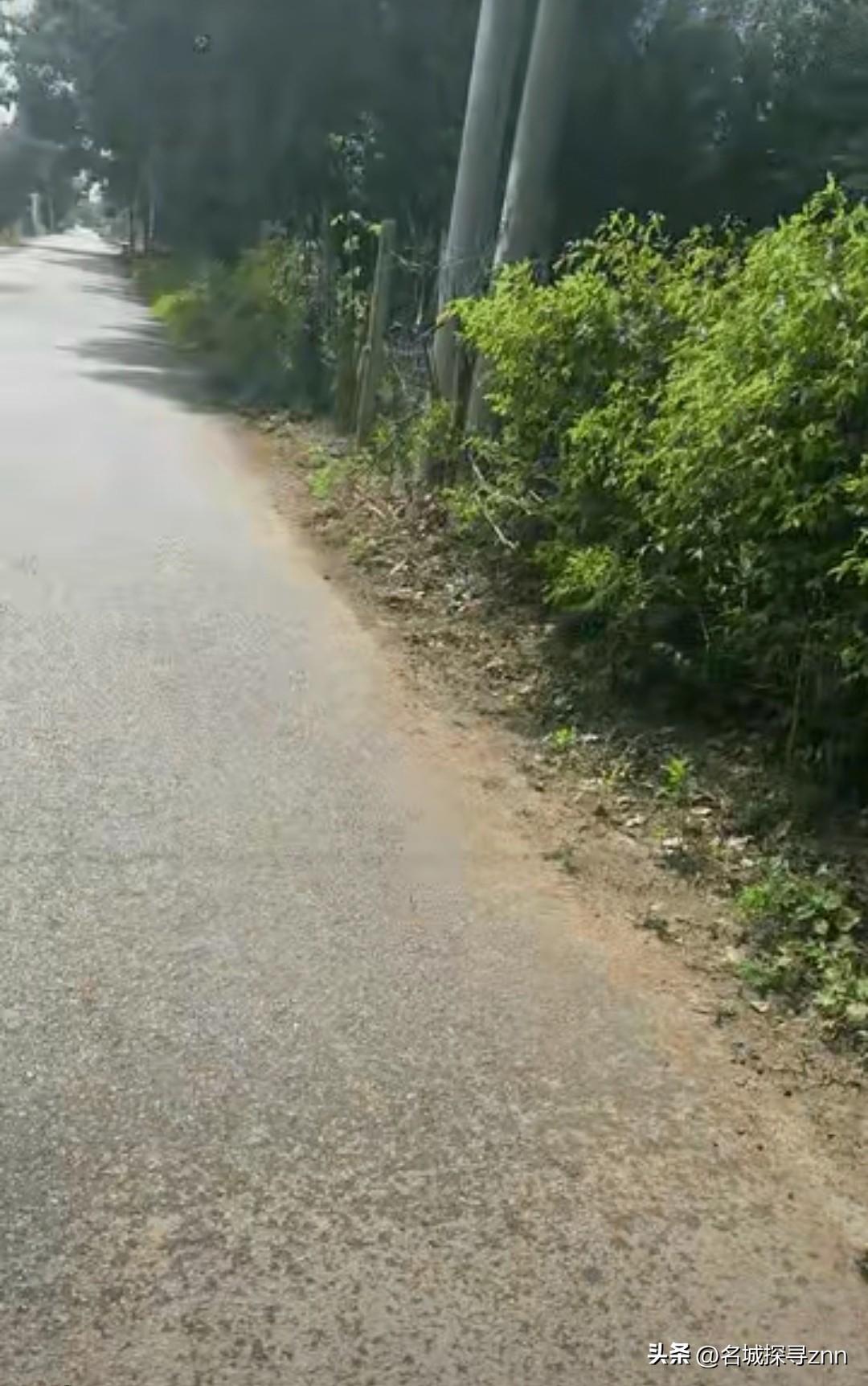 没法解释了！河北一男子在骑行途中突然下起了大雨，正担心没地方躲雨时，眼前出现的一