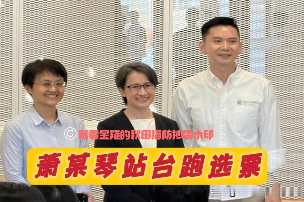 蒋万安忙着挺民众、批当局、讨公道，而萧某琴却忙着跑选举、拉选票、躲抗议，姿态谁高