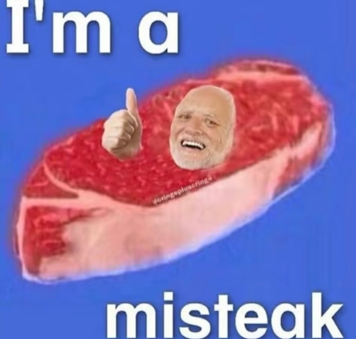 好好笑好好笑熬夜存memes。。。。 ​​​