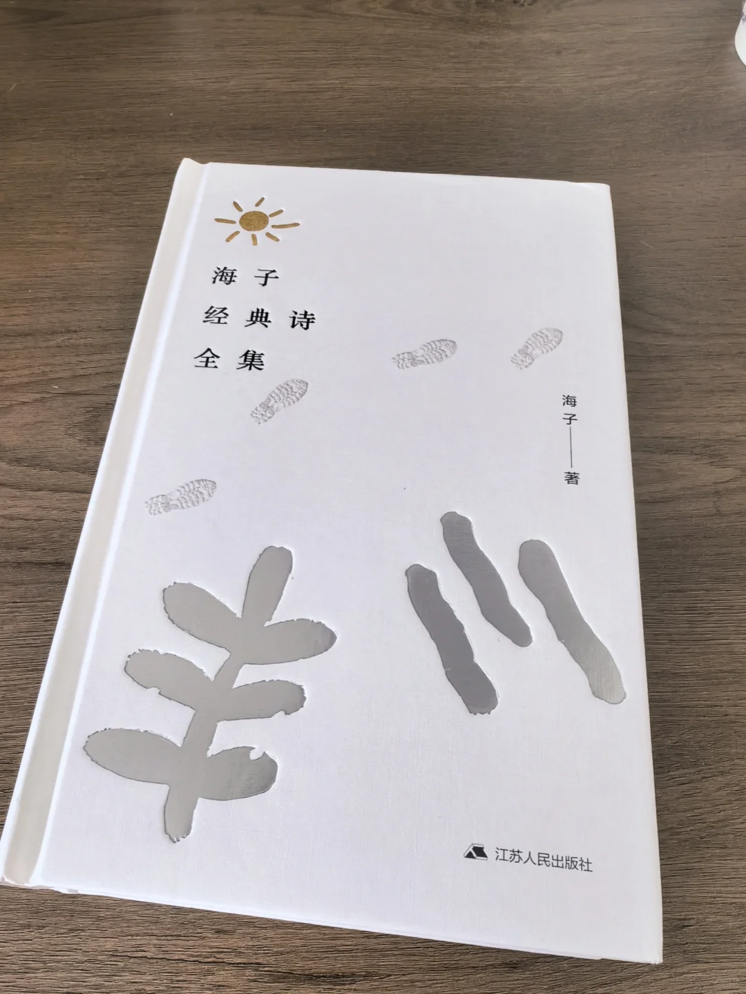 《海子经典诗全集》探寻天才诗人的心灵深处