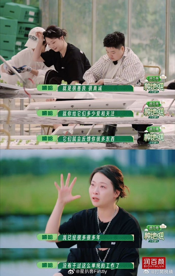 上过班的才懂嘻哈在说什么种地吧 摆脱职场精神内耗！嘻哈享受在后陡门种地的时光，纯