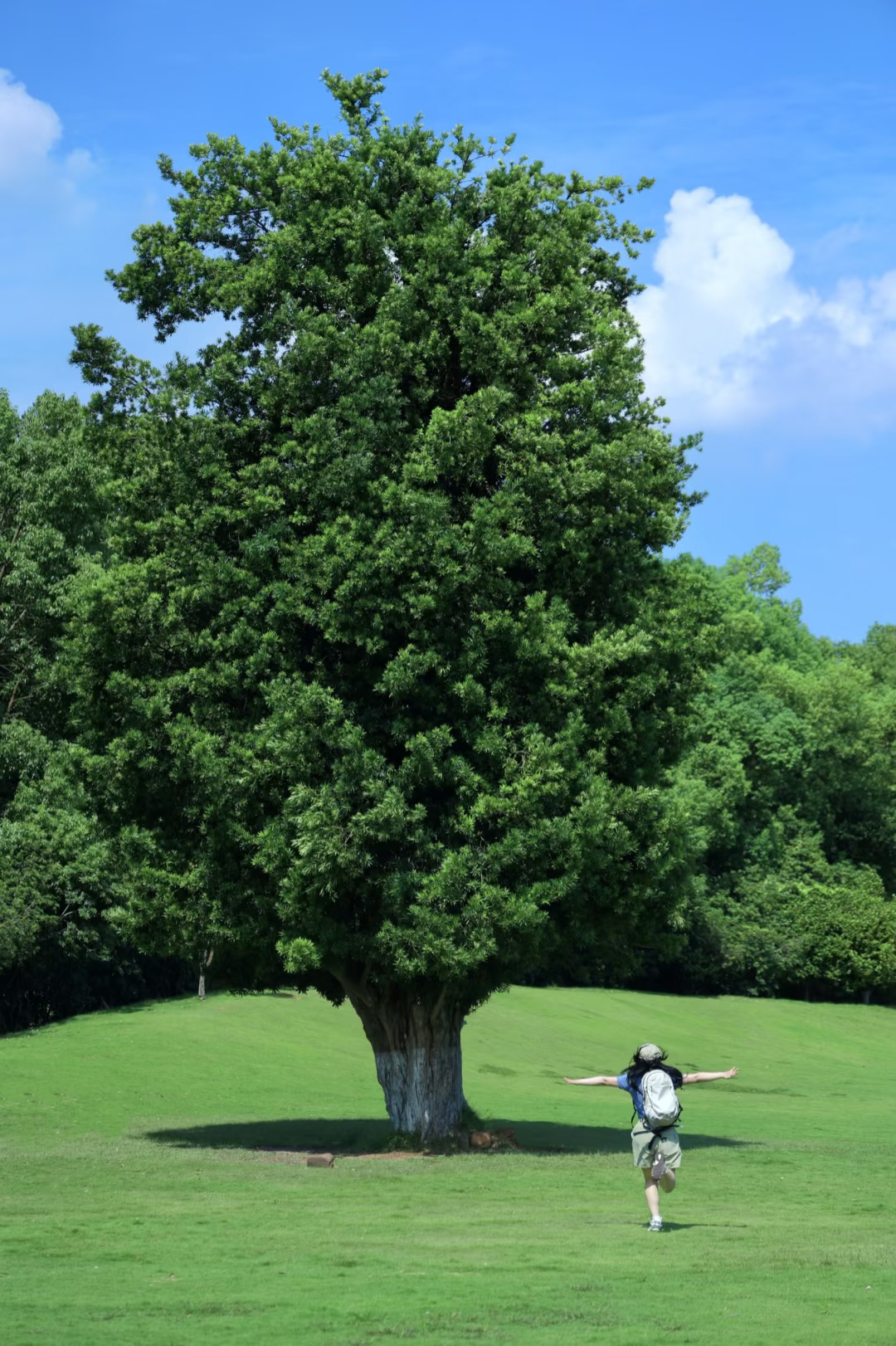 太美了！！长沙有自己的阿勒泰！