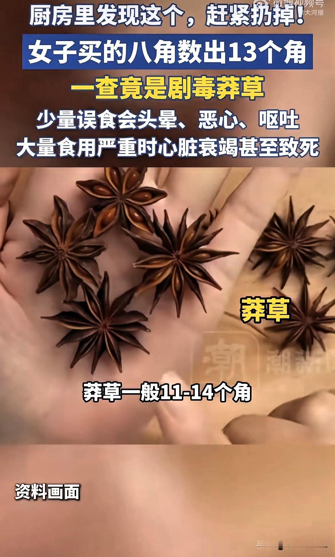 家里厨房在用八角的，一定要擦亮眼睛！一不小心，有可能买到剧毒莽草。
 
有位女子