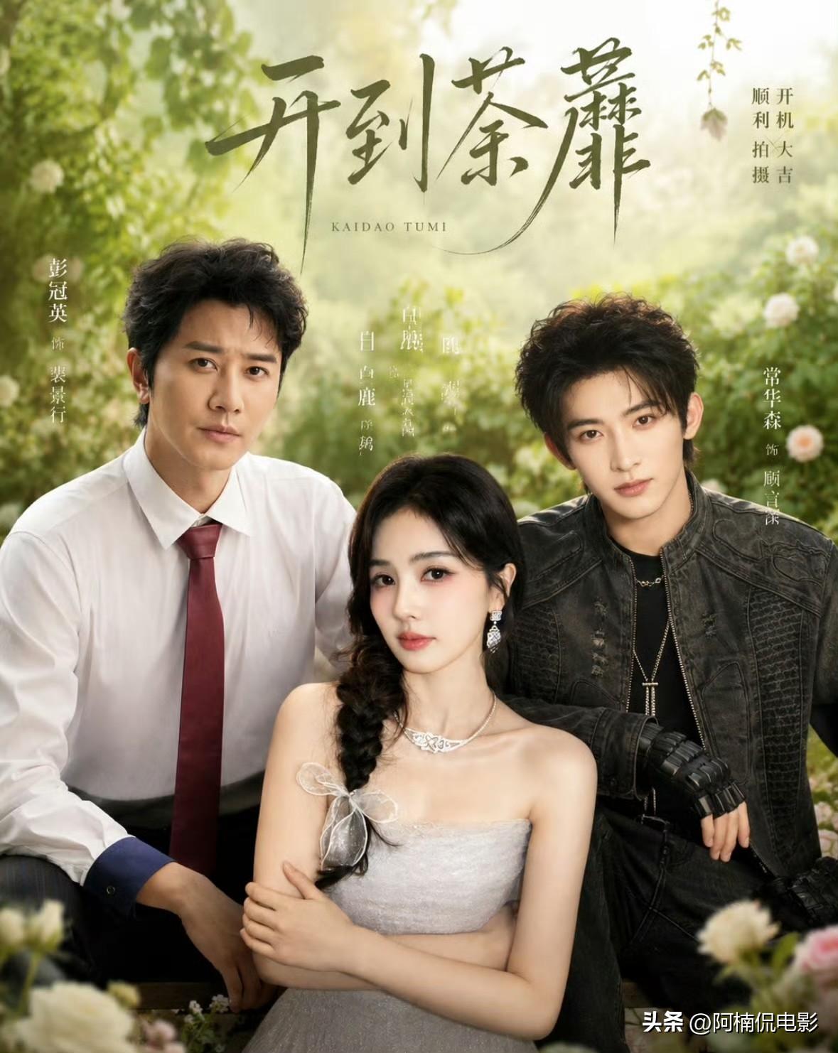 《开到荼靡》正式开机，彭冠英搭档顶流白鹿出演男主，足以看出他冲顶爆红的野心。近年