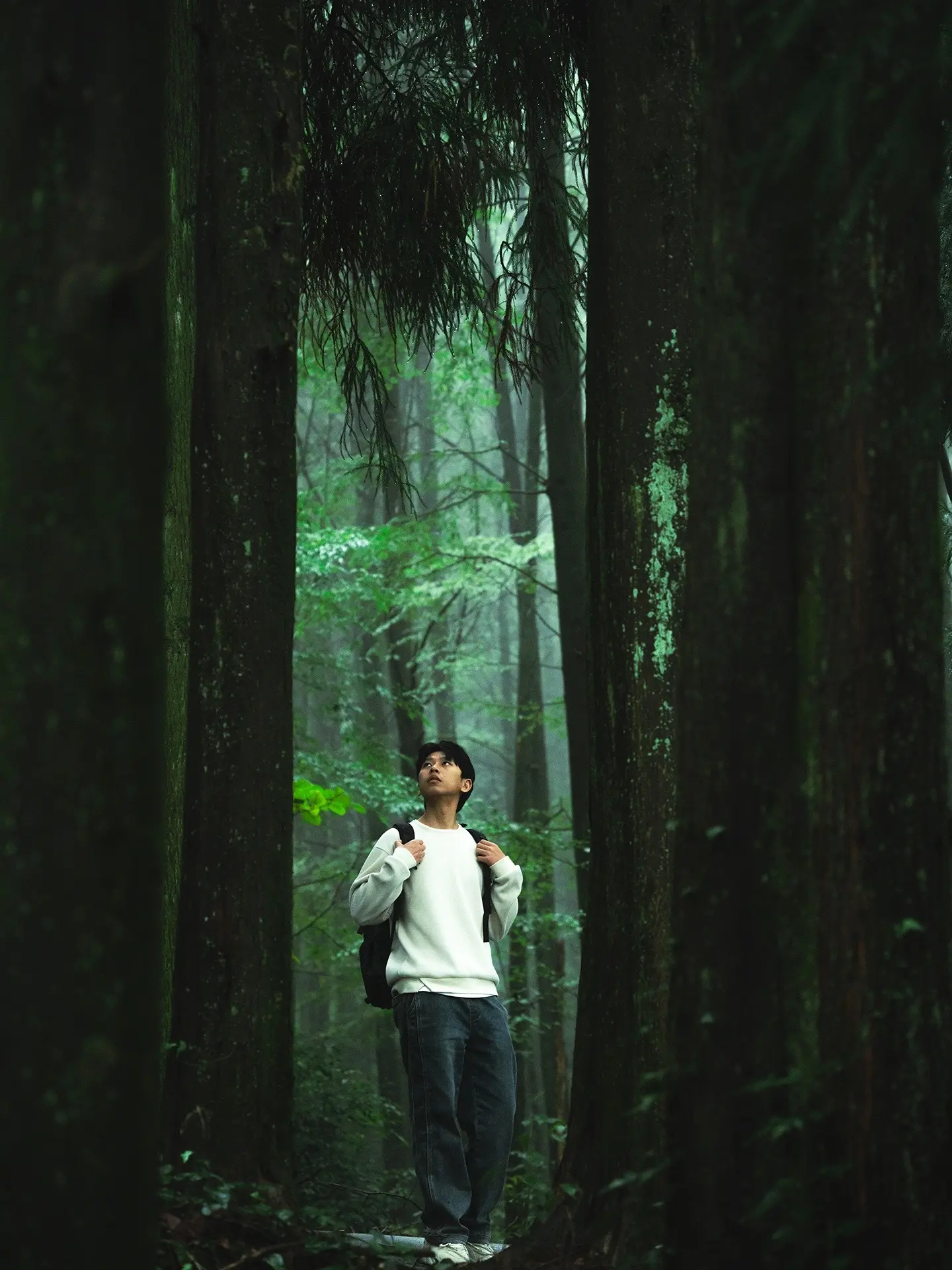 成都迷雾禁林❗️隐藏在山野中的慈悲和怜悯。比起青城山，我更爱隐藏在后山...