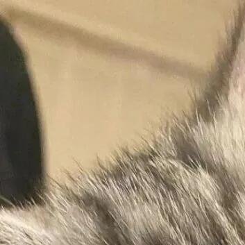 每日一善[超话]🐱每日一善 远道而来这世间，要把余生献给你热爱的故事，要以平凡