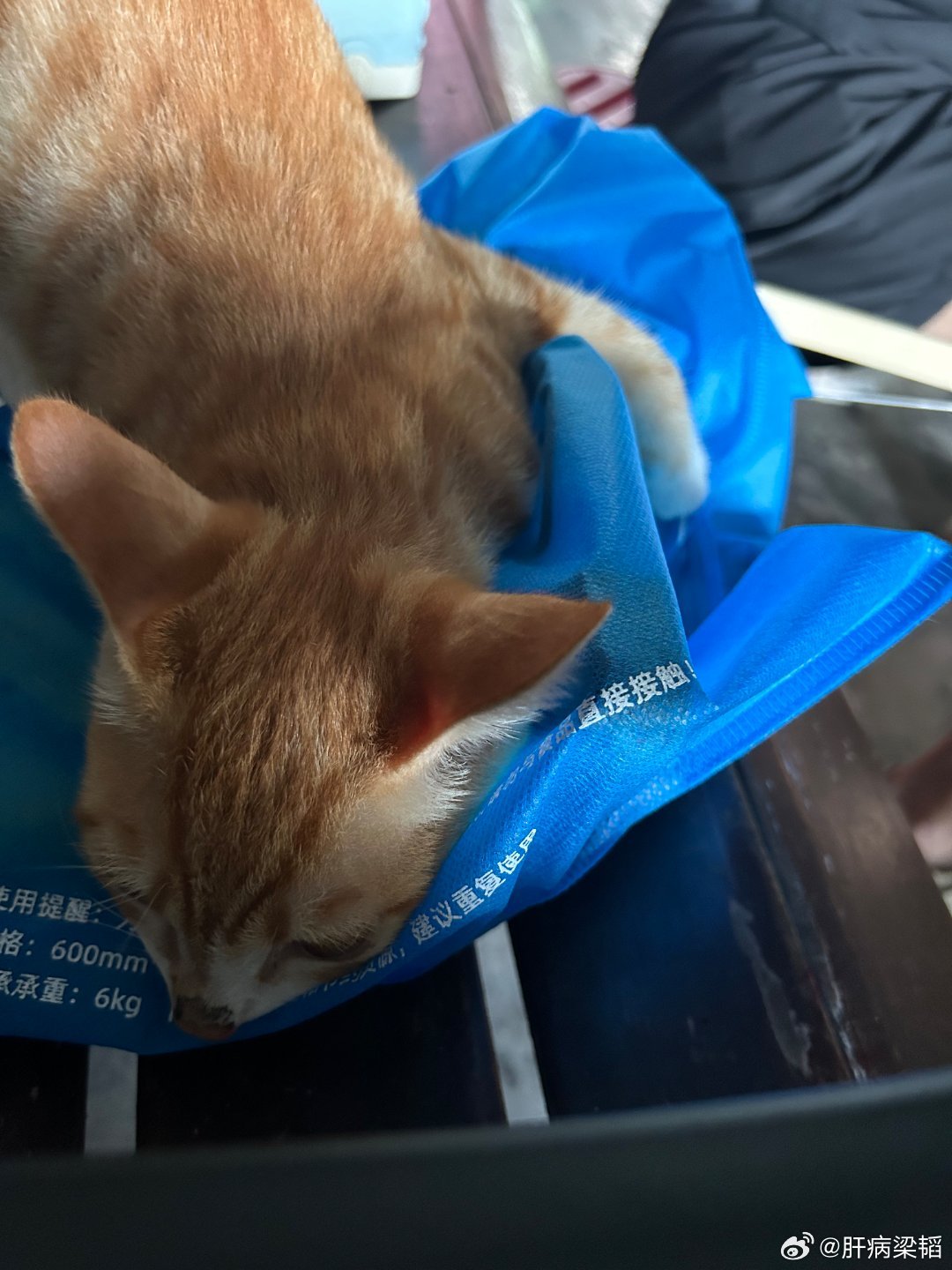 还有一点就是，张雪峰这属于猝死，不知道有没立遗嘱，很多次开车的时候，很多次一闪而