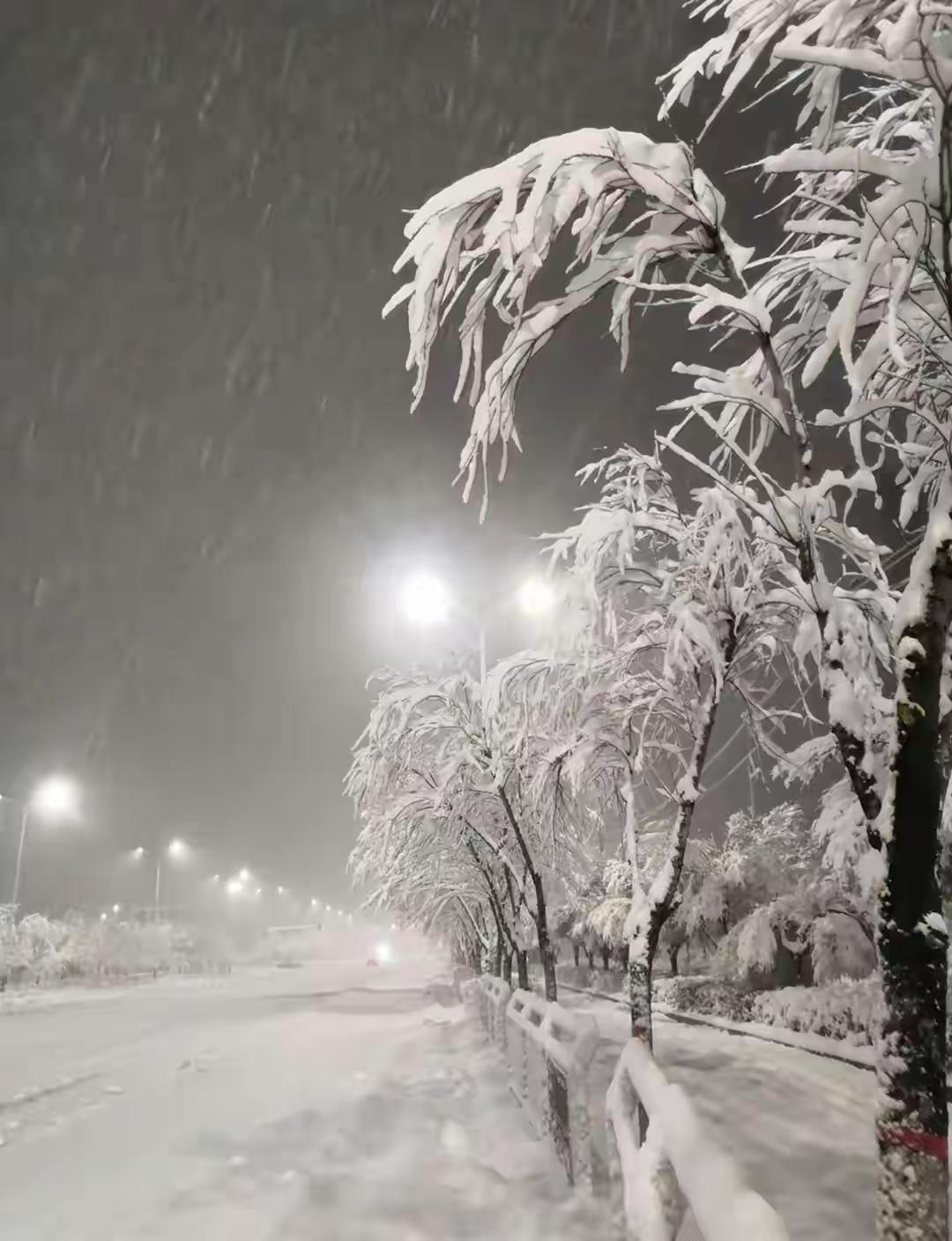 乌鲁木齐特大暴雪破纪录这场暴雪虽猛，但看到连夜清雪的工作人员就很安心！银装素裹的