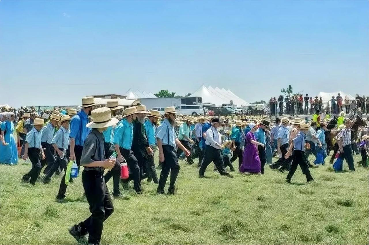 宾州的Amish为什么要赶着马车出来投票？除了共和党志愿者常年坚持动员之外，还发