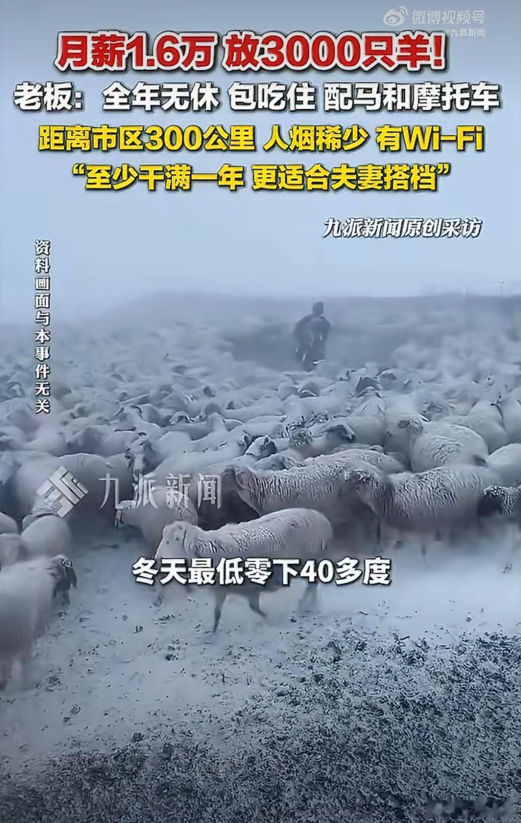 月薪1.6万招人放羊包吃住有WiFi乍一看，这活好像挺幸福但就在草原的景色，你真