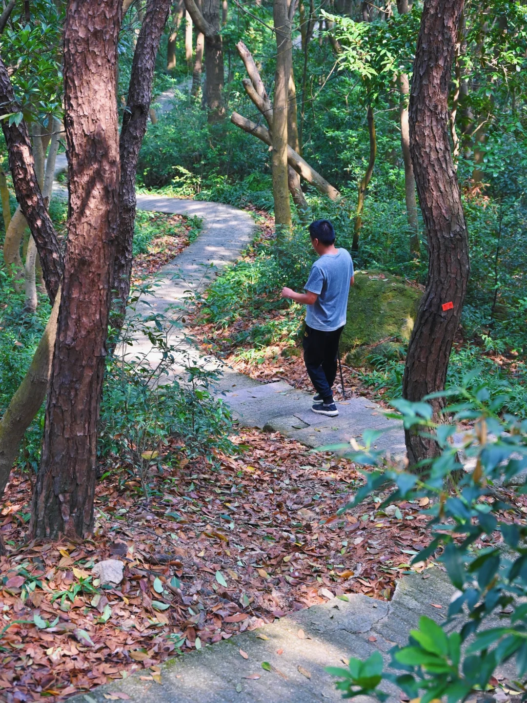 杭州吴山？这是宁波奉化的小众徒步路线呀！