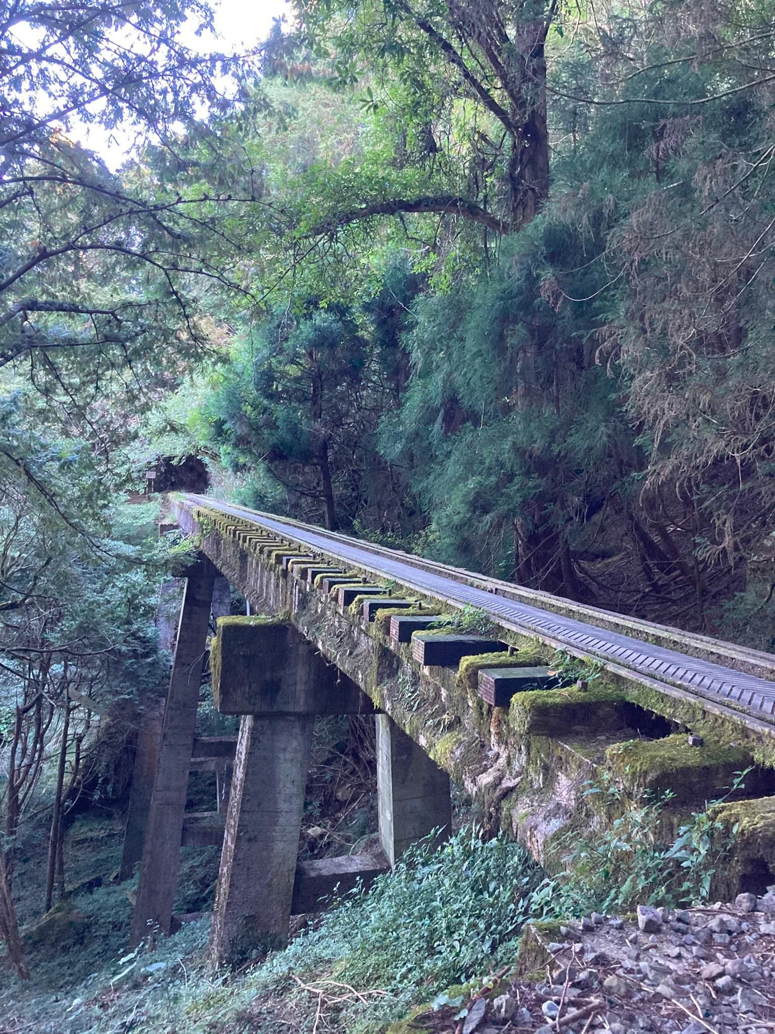 阿里山林鐵眠月線，我小时候去过，我还有印象。 话说我小时候还真的去过不少地方，因