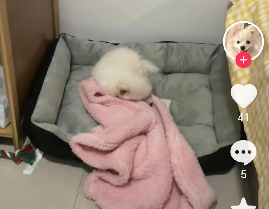 麻将桌上的失控：隔代监护不能失守安全底线
 
四川奶奶因打麻将上头，将9个月大的