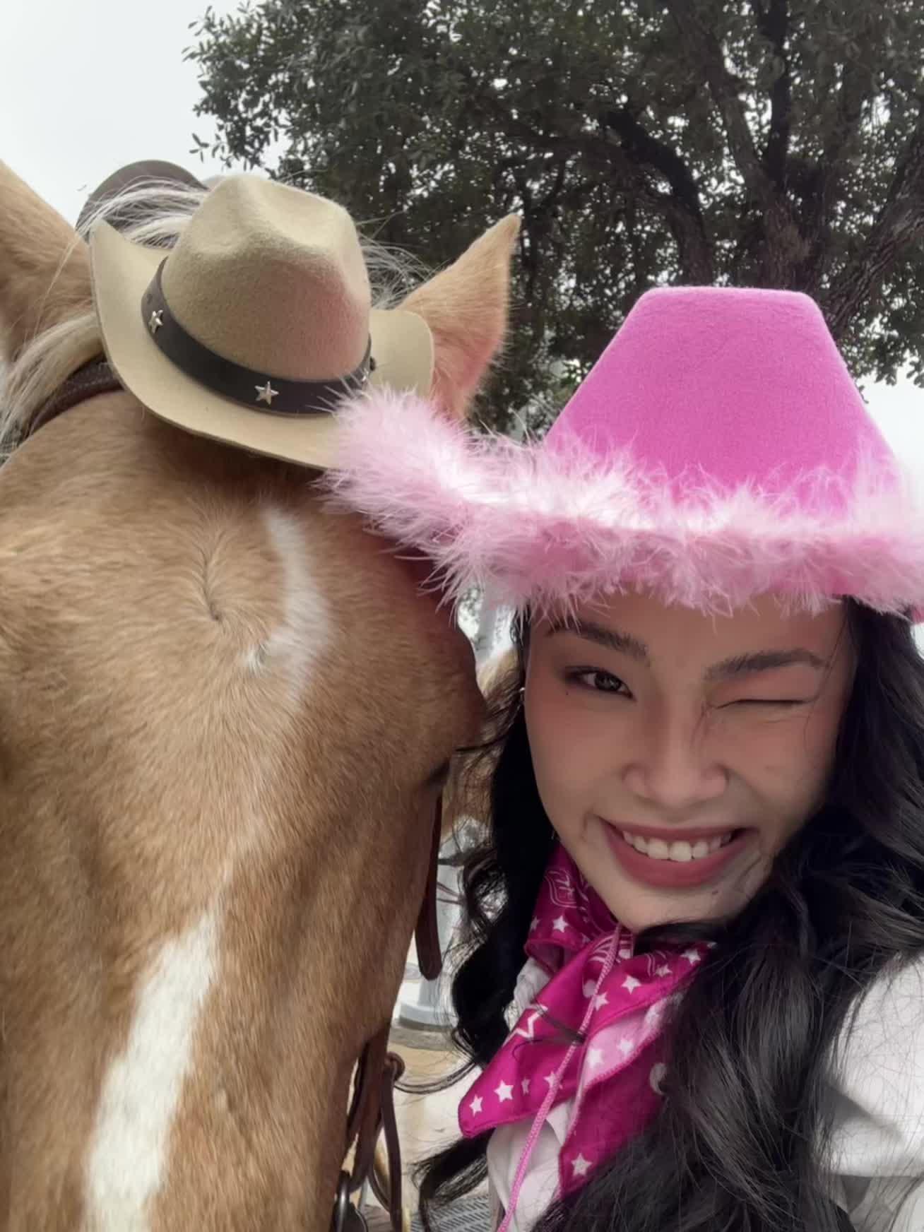 贴贴美国小动物们🐎🦭🐶