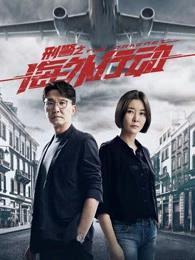 推荐《刑警之海外行动》，非常赞，该剧是根据中国公安刑警在海外与当地警方开展执法合