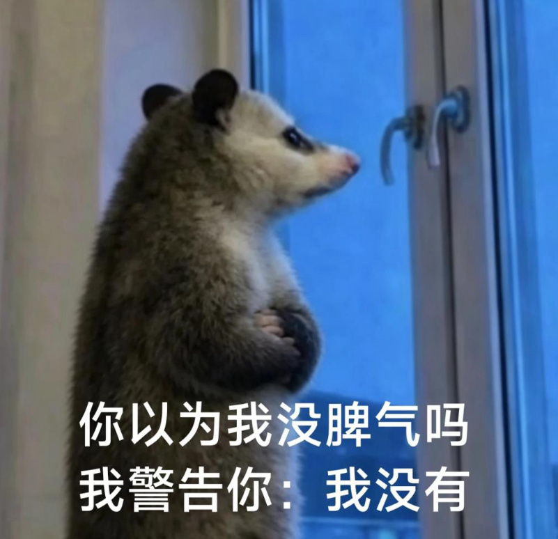 谁抢走了我酷狗的票