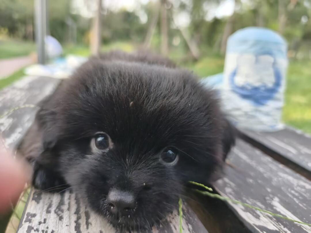 姨姨们 小斗我卖垃圾袋给麻麻jue 育