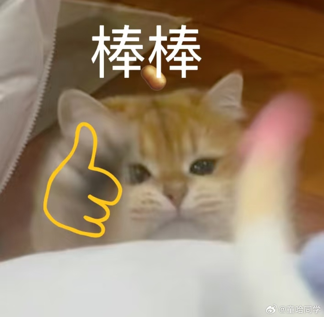 北京的端午安康从不闯红灯开始 太喜欢这种接地气的节日宣传了，不搞枯燥宣讲，借着端