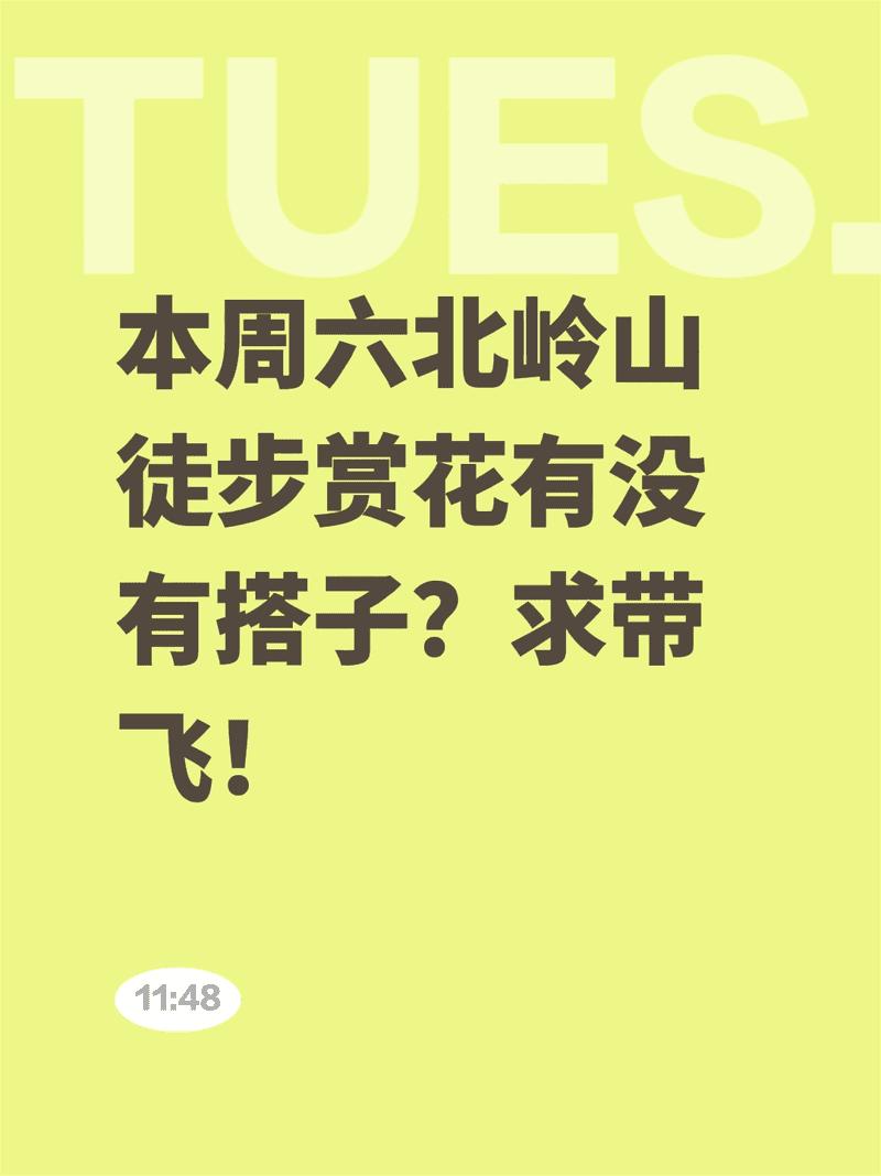 本周六北岭山徒步赏花有没有搭子？求带飞！