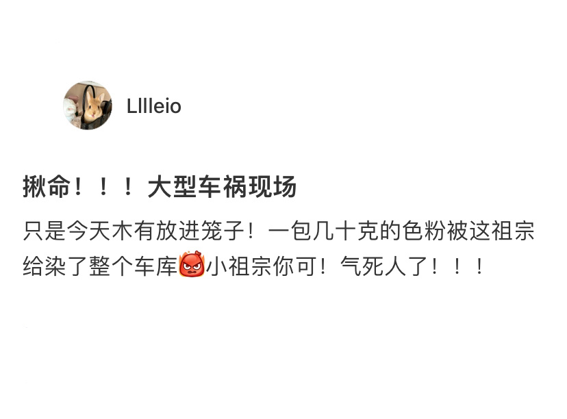 柯基把自己染成了火龙狗[跪了] ​​​