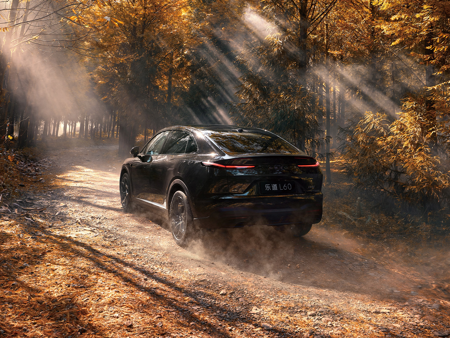 黑武士L60在十二月五号上市即交付，我刚登机，等会去看看实物怎么个事儿乐道l60