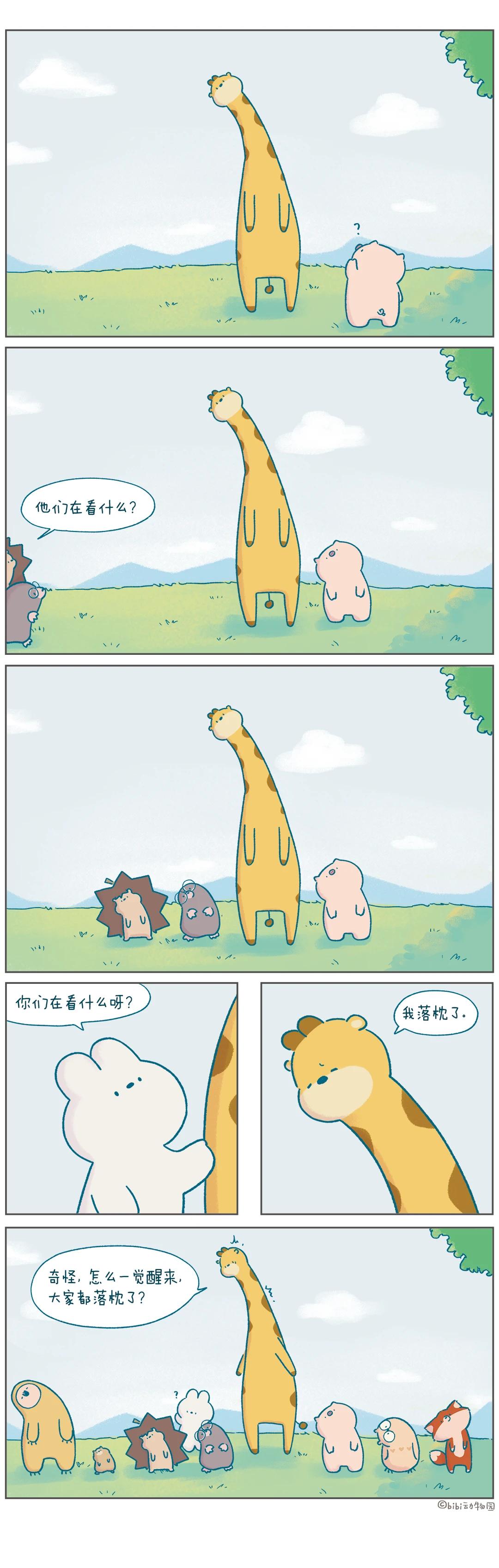 你们在看什么