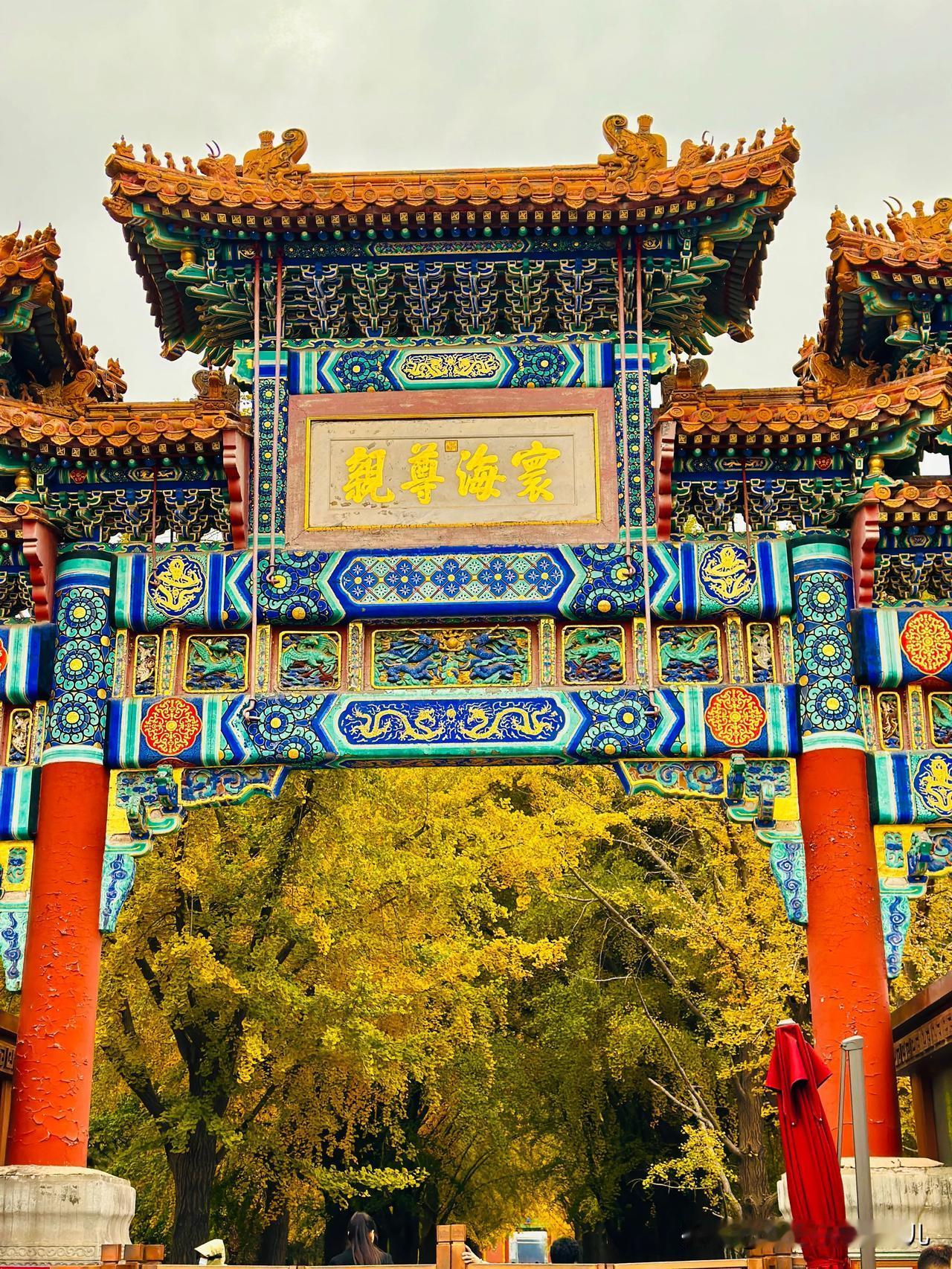 #秋日生活记录#

雍和宫的黄叶
2024.10.31
黄绿相间
这周应该是最好