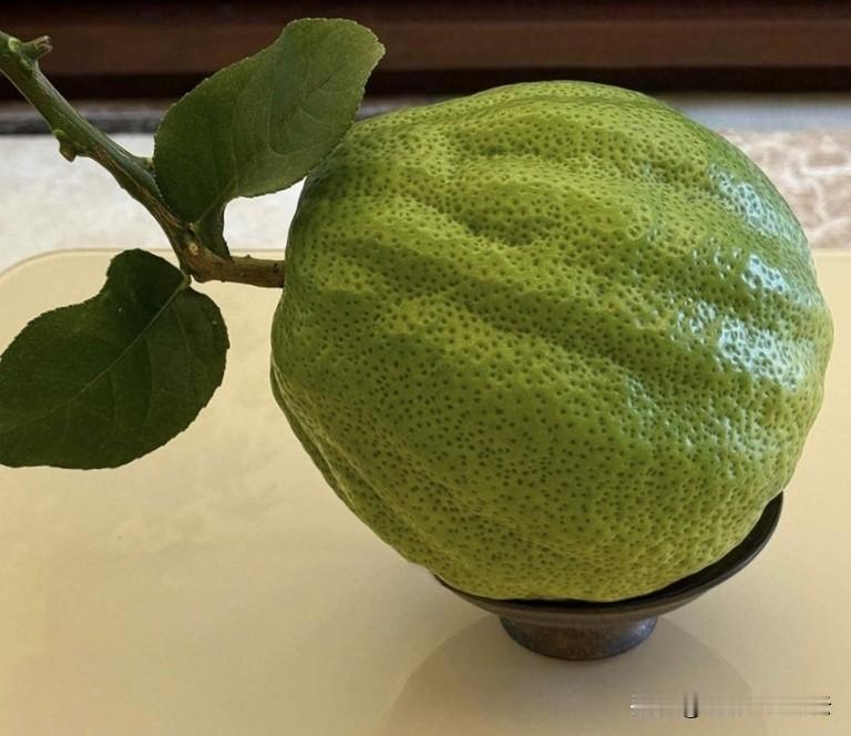 从今以后不再是一个需要答案的人。答案，是别人给的句号。问题，是自己生的茧；当不再