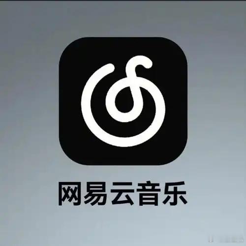网易云音乐明确没有访客记录没有访客功能是好事，就是什么时候版权能在多一点，从大学