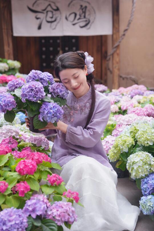 原来姹紫嫣红开遍，成都最早的绣球在这里～