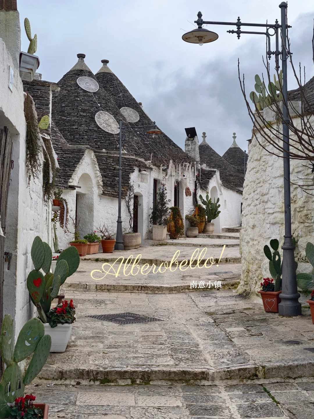 南意蘑菇🍄村 阿尔贝罗贝洛