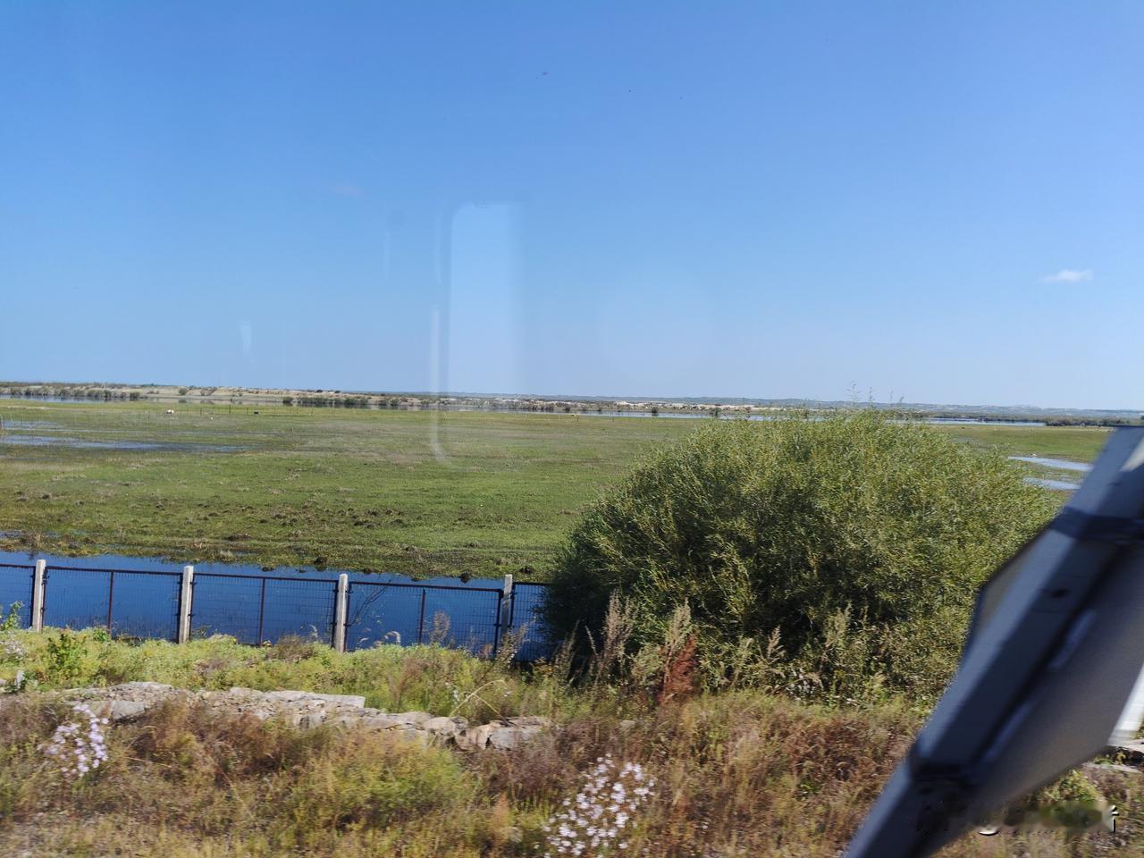大草原有沙地？应该是过去放牧过度留下的痕迹，现在好很多了，刚好经过海拉尔到满洲里