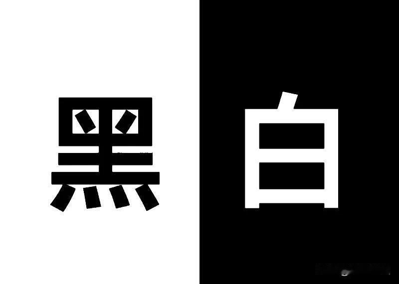《黑与白》
不要试图用墨染黑真相，
也不要用谎言玷污高尚。
真正的坦荡，
是深夜