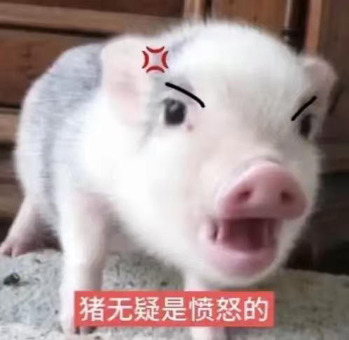 幸福一秒要用痛苦三秒来偿还，幸福是一种高利贷 ​​​