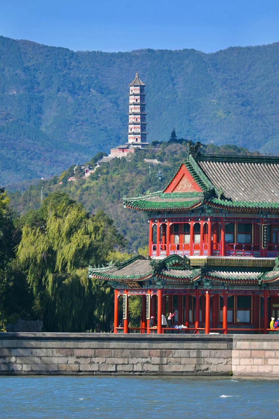 金龙鱼一款在美国销售的调和油，其英文标注显示，食用该油可能存在致癌物且会影响生殖