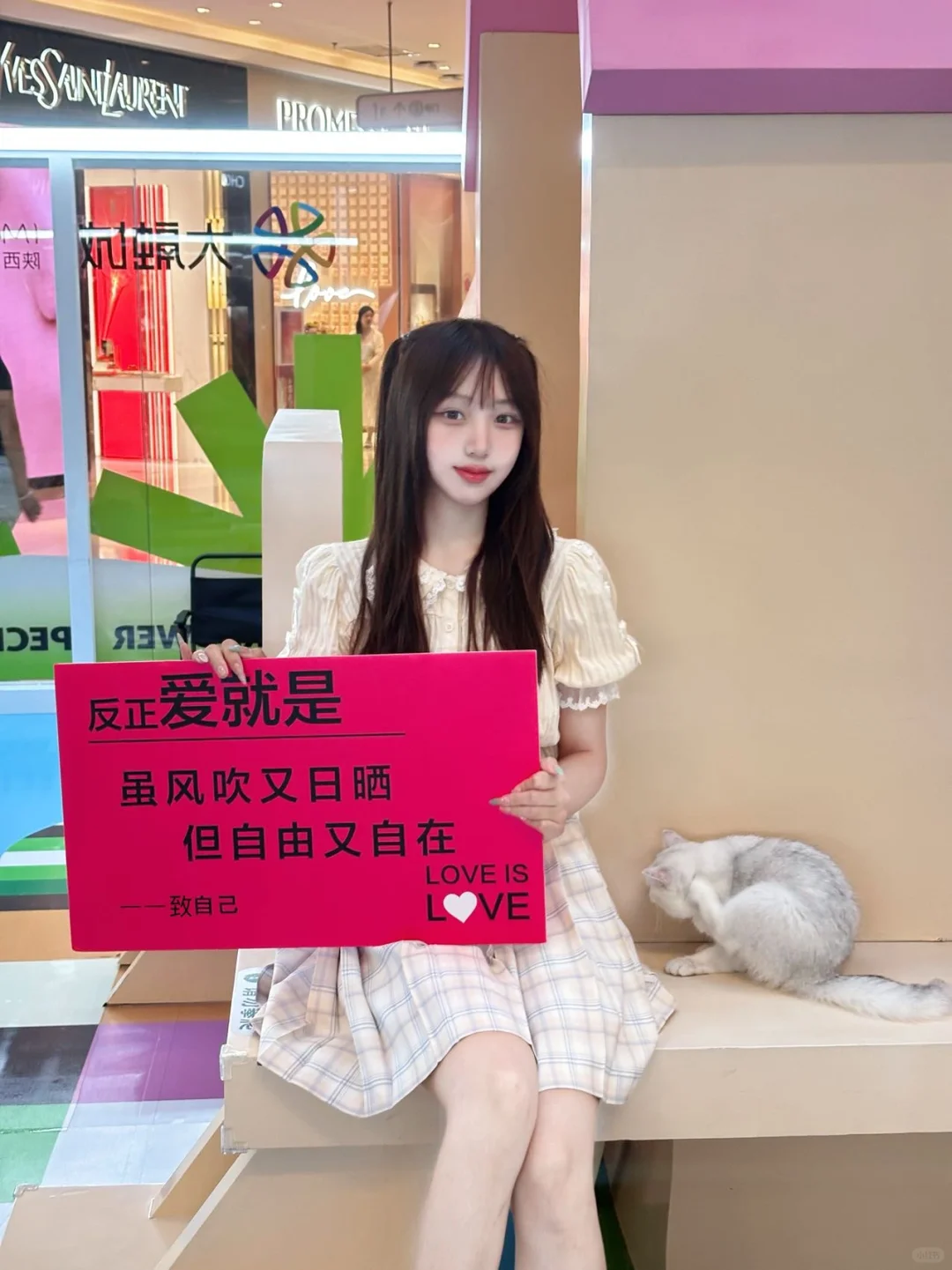 和猫猫一起的治愈时光🐈 大融城你真的太会啦～ 居然把这么多猫猫都搬进...