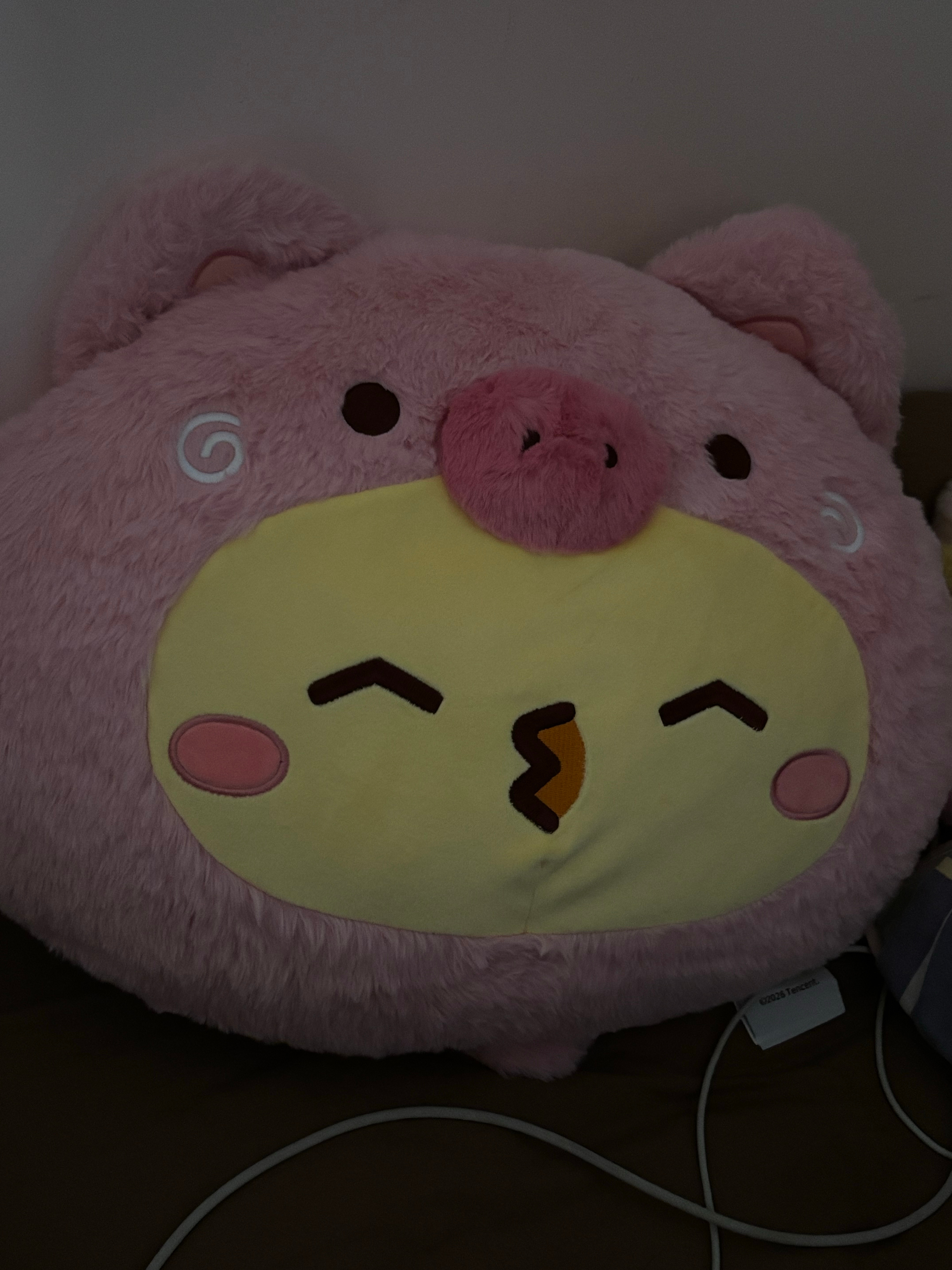 猪儿 好肥美 