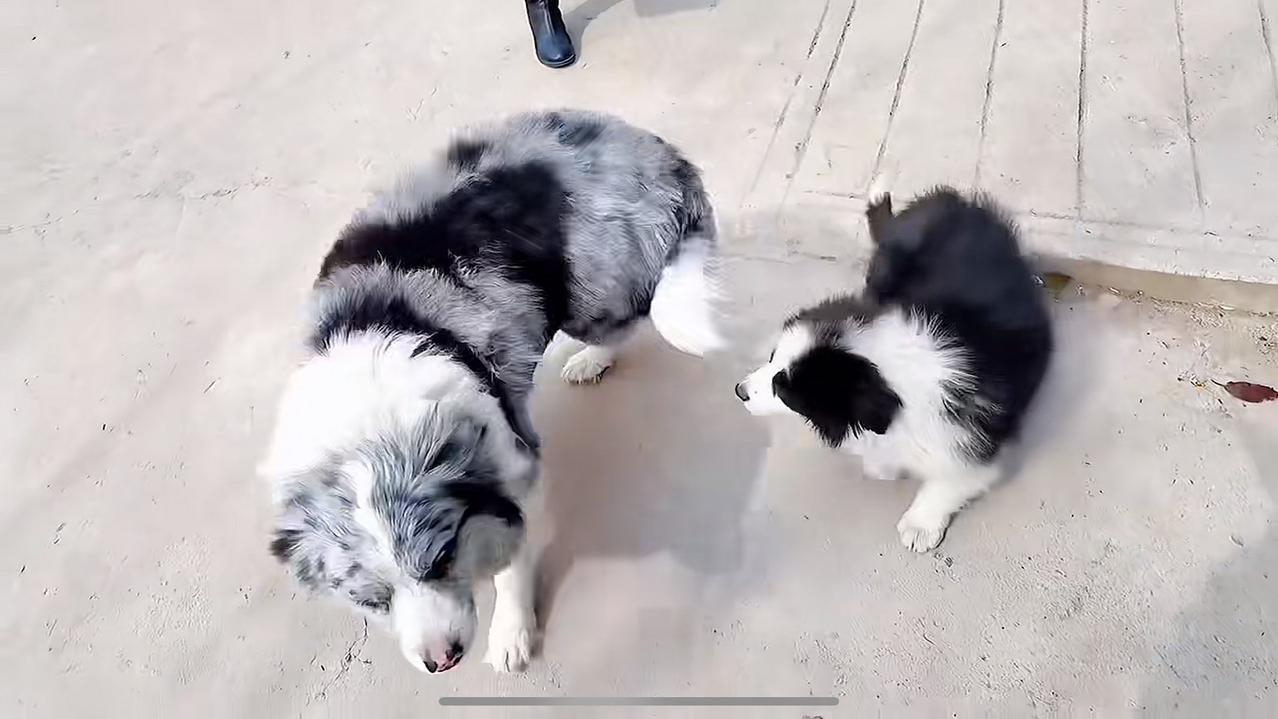 千里赴约，线下解锁瘦猴小院真实生活，也见证了曾经的锄头在小院和家里生活的真实状态