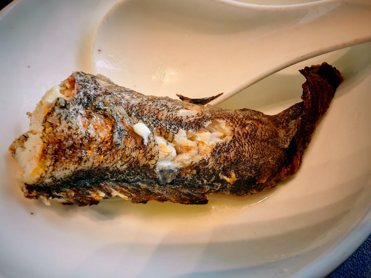 春日生活打卡季