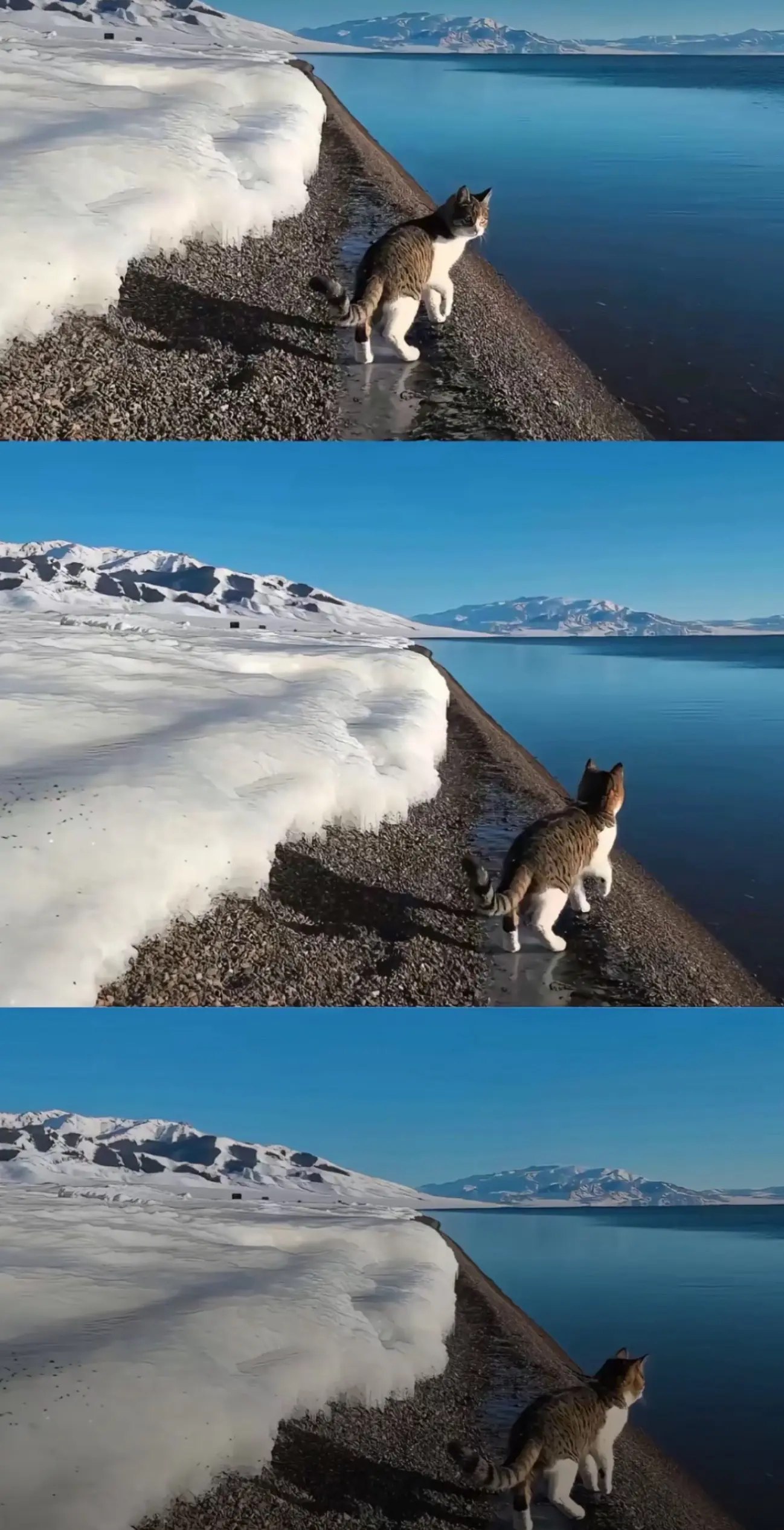 臭小子记得回来看我们