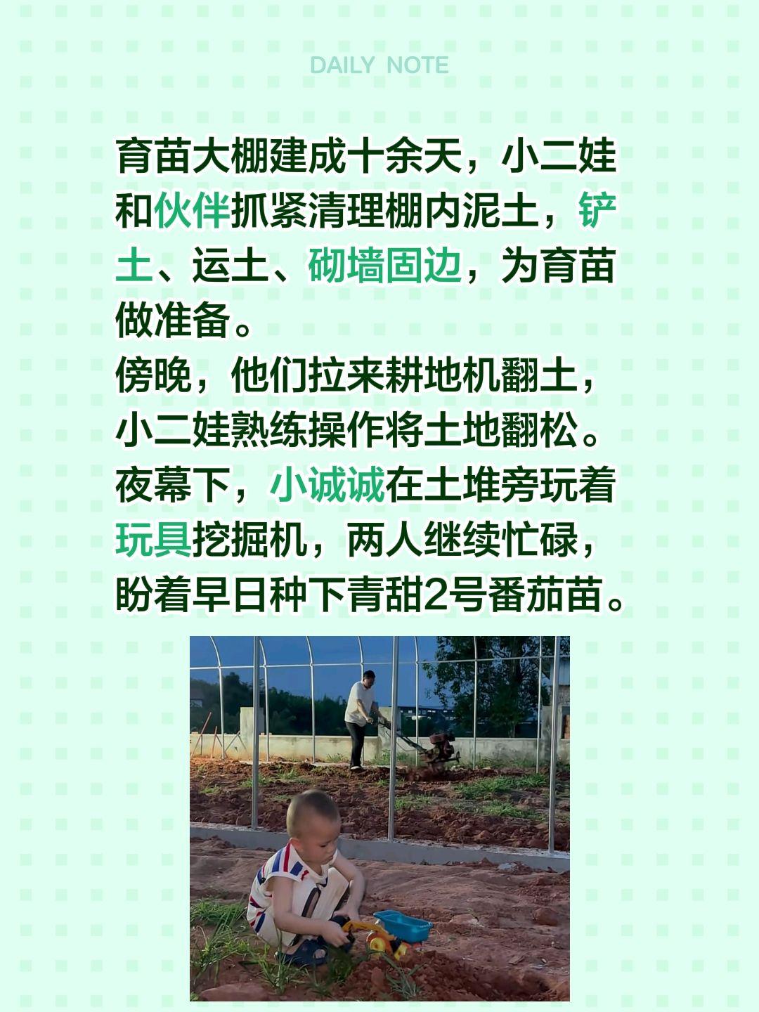 育苗大棚建成十余天，小二娃和伙伴抓紧清理棚内泥土，铲土、运土、砌墙固边，为育苗做