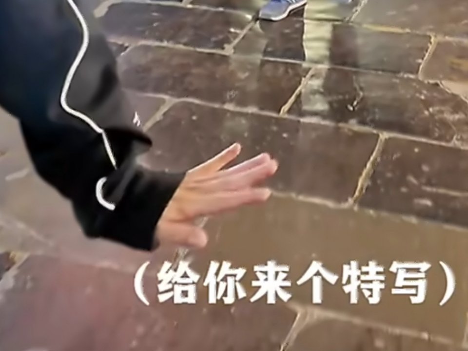 打招呼就这样萌，好宠 